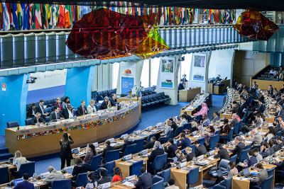 #CFS43: Summary of Interventions made by LVC delegation at CFS Plenary in Rome